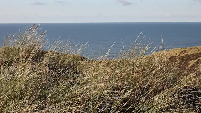 The Way to the Beach, Wenningstedt, Sylt, Germany