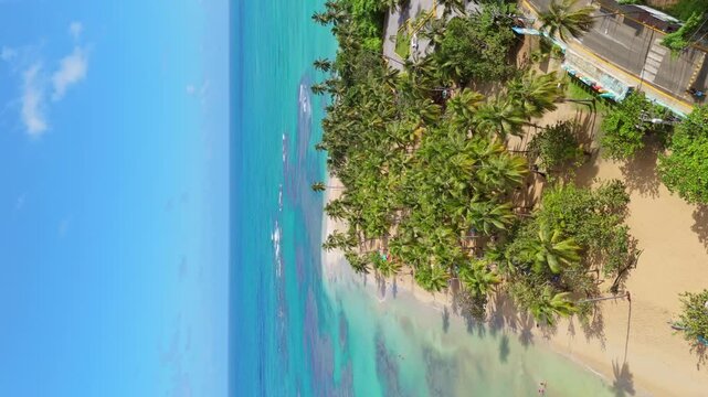 Playa Punta Popy with shallow turquoise waters, white sand and lush palm trees. Vertical drone aerial, orbit view reveals azure coast ideal for kite surfing . Las Terrenas, Dominican Republic