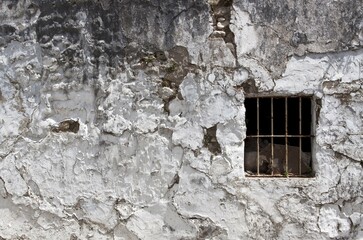 Dilapidated house facade in an Andalusian village, Bornos, Andalucia, Spain, Europe