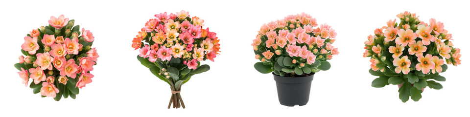 Fototapeta premium Vibrant bouquets of colorful floral arrangements in vases showcasing a variety of blooming flowers such as roses daisies and carnations in shades of pink yellow and white