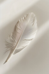 Minimalistic Feather - A Glimpse of Fragility and Grace in Everyday Objects