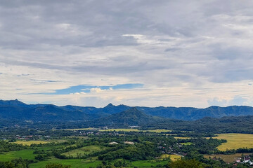 Naklejka premium View of residents' plantations in the countryside in the afternoon
