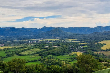 Fototapeta premium View of residents' plantations in the countryside in the afternoon