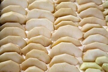 Apple slices on dough, apple slice