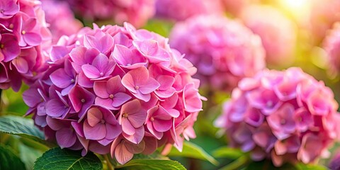 Obraz premium Pink Hydrangea Bouquet Portrait Photography AI Art, Floral Still Life, Elegant Flowers