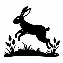 rabbit on grass