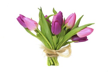 Bouquet of Tulips (Tulipa)