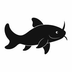 shark isolated on white