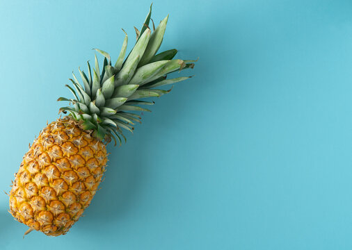 A pineapple is on a blue background. The pineapple is the main focus of the image. The blue background creates a calm and serene mood