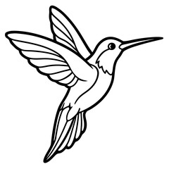 Fototapeta premium hummingbird illustration