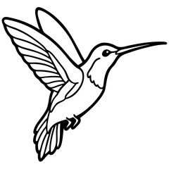 hummingbird