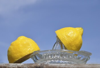 Two halfs of a lemon on a lemon squeezer