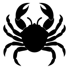 crab isolated on white background