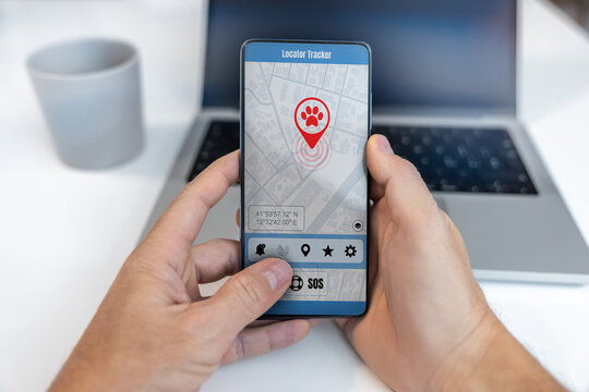 Pet locator app on smartphone. Remote find puppy in real time and follow. GPS phone application
