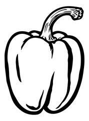 black illustration of pepper or paprika without background