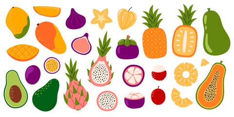 Set of different exotic fruits.  Collection of organic vitamins and healthy nutrition. Pitahaya, pineapple, mango, lychee, pitahaya, passion fruit, carambola, mangosteen. Flat Vector illustration
