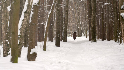 A person is walking through a snowy forest. The snow is deep and the trees are bare. The person is wearing a brown coat and he is enjoying the peacefulness of the winter landscape