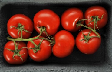Fresh vine tomatoes (Solanum)