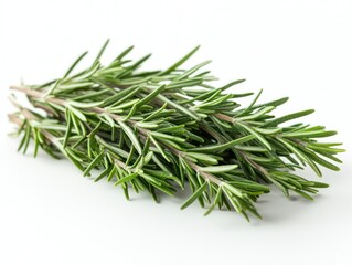 Fototapeta premium Fresh rosemary sprigs on white background for culinary use