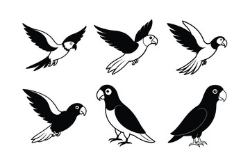 African Grey Parrot (Psittacus erithacus) mammal animal, labeled silhouette vector art illustration.