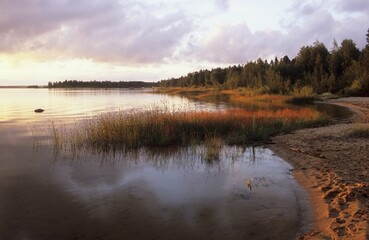 Evening mood at the Baltic Sea near Taeftea, Sweden, Europe