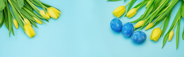 Many beautiful fresh yellow tulips and painted eggs on blue background. Easter Banner design.