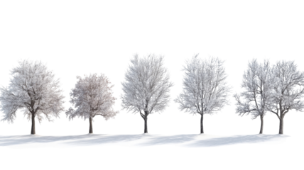 Snow-covered trees create a serene winter landscape in a quiet area during daytime light