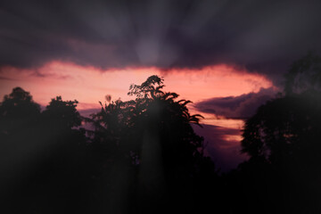 The silhouette of the treetops against the backdrop of an orange sky as the sun is about to set, emitting a soft glow of light., sunset in the forest