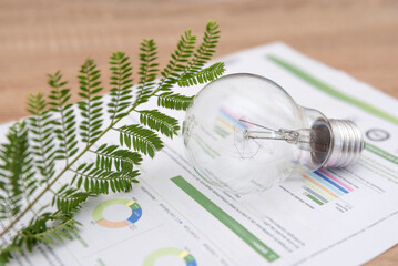Green Energy Concept with Light Bulb, Fern Leaves and Energy Efficiency bill on Wooden Table