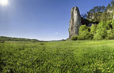 Burgstein Massif at Dollnstein in the Altmuehltal Valley Nature Park, Bavaria, Germany, Europe