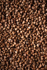 Buckwheat texture closeup