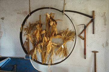 Traditional Farming Tools and Dried Crops Hanging on a Rustic Wall