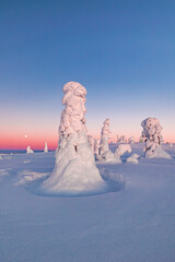 winter landscape with snow