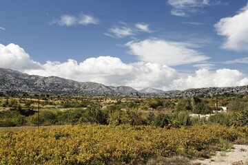 Fototapeta premium Katharo Plateau, (Katharos Plateau) near Kritsa, Eastern Crete, Greece, Europe
