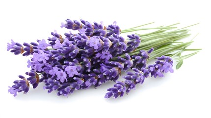 A fragrant bundle of purple lavender flowers, freshly picked and ready to be enjoyed.