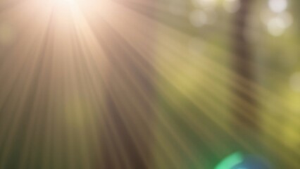 Sunbeams Through Forest Canopy - Abstract Nature Background