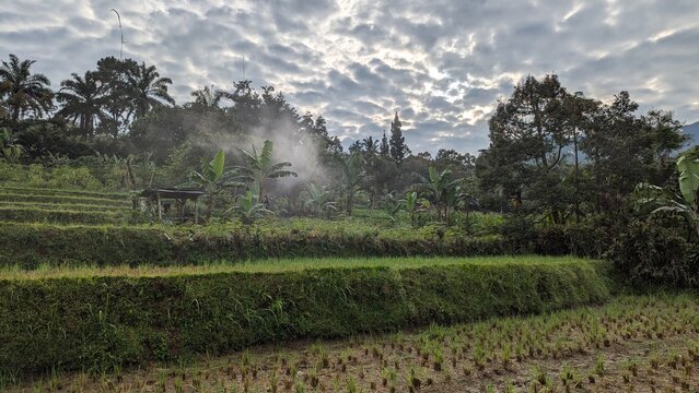 Java Indonesien