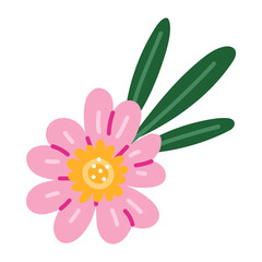 tropical flower in a flat style. plumeria is blooming with leaves, highlighted on a white. Isolated botany is colored on white. pink flower with a yellow core and small leaves. For packaging