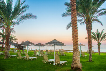 An idyllic beach resort in Paphos, Cyprus, with palm trees, sun loungers and straw umbrellas...