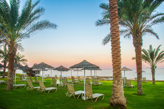 An idyllic beach resort in Paphos, Cyprus, with palm trees, sun loungers and straw umbrellas against a backdrop of a picturesque sunset over the Mediterranean Sea. The perfect place to relax.