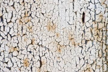Flaking paint, Germany, Europe