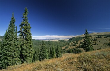USA Montana Centennial Mountains