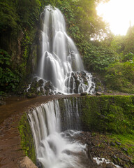 Obraz premium waterfall in the forest