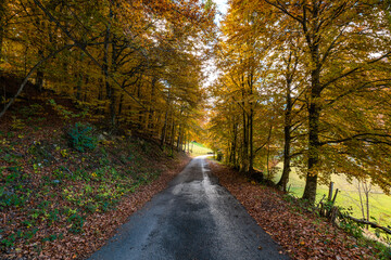 Obraz premium Scenic Autumn Road Trip Through France and Switzerland