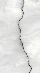 Obraz premium White Marble Background Features a Dark Crack Running Vertically Through the Center.