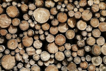 Stack of wood , Bavaria, Germany, Europe