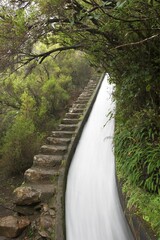 Obraz premium Levada do Alecrim near Rabacal - Madeira