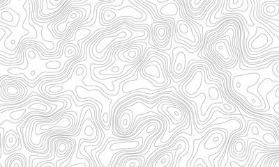 Abstract pattern with lines seamless pattern and topography counter map. The black on white contours vector topography stylized height of the lines map.