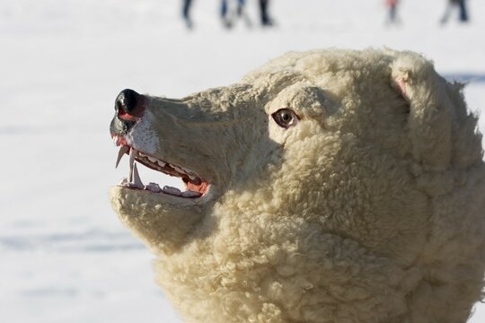 Carnival tradition Telfer Schleicherlaufen capturing bears - Telfs Tyrol Austria