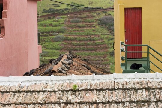 Arure Canary Islands - La Gomera